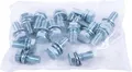 KS TOOLS 873.7014-R004P Schraube M8 für Rollen zu PERFORMANCEplus Werkstattwagen (16 Stück)