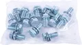 KS Tools 873.7014-R004P Schraube M8 für Rollen zu PERFORMANCEplus Werkstattwagen (16 Stück)