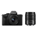 Panasonic Lumix G100D Kit (12 - 32 mm, 20.30 Mpx, Micro Four Thirds) (DC-G100WEGK)