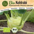 Kohlrabi Samen (BIO) - 100 Samen Gemüsesamen Kohlrabisamen Superschmelz