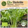 Little Plants BIO Senfkohl Samen 300 Senfkohlsamen Mizuna Gemüsesamen Gemüsesaatgut Samenfest für Gemüsegarten, Hochbeet, Küche, Balkon und Garten