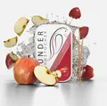 Wunder Zahnstocher - Zahnstocher mit Geschmack Apfel Metallbox