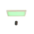 Infraworld LED Farblicht Sion 3A Linde Deckenmontage - EEK: G - S2293A Saunaleuc