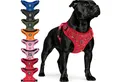 Reichstadt Hunde-Geschirr RS Pets Norwegergeschirr 25RSP083, Polyester, atmungsaktives Netzgewebe und robuster Oxford-Stoff