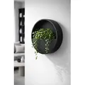 finestgreen Pflanzschale Hanging Wally, Robust & leicht – frostfest für Innen- und Außenbereich schwarz Ø 50.0 cm x 10.0 cm