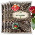 Aroid Mix Erde für Zimmerpflanzen und Garten  12L Aroiden Substrat für Pflanz...