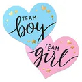 Gender Reveal Sticker,Team Boy or Girl,Team Boy und Team Girl Labels mit Goldfolie für Reveal Partys und Baby Showers（100er Set）