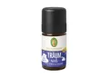 Primavera Träum süß Duftmischung 5ml (2580 EUR/l)