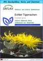 SAFLAX Blumensamen SAFLAX - Geschenkset - Echter Tigerrachen