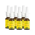 heybee Propolis Nasenspray - 6er Packung