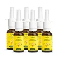 heybee® Propolis Nasenspray (6er Pack), ätherischen Ölen & Meersalz, natürlich abschwellend bei Schnupfen & Pollenallergie, ohne Gewöhnungseffekt, für Erwachsene und Kinder ab 6 Jahren