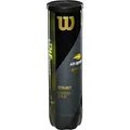 Wilson - US OPEN - Tennisbälle - Dose mit 4 Bällen - gelb - für Wettkampf und Freizeit