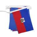 AZ FLAG - Fahnenkette Haiti 6 Meter Mit 20 Flaggen - 21x14 cm - Haitianische Girlande Flaggenkette 14 x 21 Cm