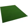 Snapstyle Kunstrasen Rasenteppich mit Noppen Kingston Grün Uni 200x100cm