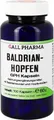 Baldrian Hopfen GPH Kapseln 60 g