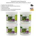 Kräuterhof Beinwell Gel Schmerzpflege für Gelenke, Knochen & Muskeln 4x250ml