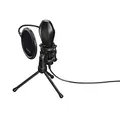 Hama Mikrofon Mic-USB Strea, 00139907