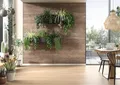 DecoWall Annaba Eiche Natur  umweltschonende Alternative zu herkömmlichen Wan...