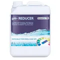 Nortembio pH- Minus Flüssig pH-Senker für Pools und Spa, Regulator des Wasserhaushalts, Verbessert die Wirksamkeit von Chlor, Professionelle Wasserpflege (5 L)