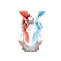 NATIONAL CYCLE Windshield VStream passend für Honda CRF1100L Africa Twin Adventu
