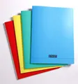 Clairefontaine 18065C - Packung mit 10 Heften Calligraphe geheftet, DIN A4, kariert, 24 Blatt, 90g, farbig sortiert, 1 Pack
