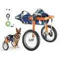 VEVOR Hunderollstuhl für Hinterbeine, Haustierrollstuhl mit 2 Rädern, Höhe, Breite & Länge verstellbar, Hundewagen mit stoßdämpfenden Rädern, für verletzte, behinderte Hunde 21,77–39,92kg