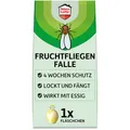 Nexa Lotte® Fruchtfliegen-Falle, 1 Stück, sofort einsatzbereit, essigbasierter Lockstoff, bis 4 Wochen wirksam
