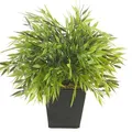 künstlicher Bambus, Bamboo im Topf H. 25cm grün Emerald Zimmerpflanzen