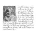 Pferdeflüsterer-Academy, Band 2: Ein geheimes Versprechen
