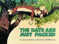 Calvin and Hobbes. The Days Are Just Packed, Bill Watterson