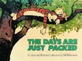 Bill Watterson The Days Are Just Packed (Taschenbuch) (US IMPORT)
