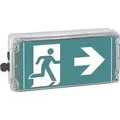 Ceag Sicherheitst. Ex-Rettungszeichenleuchte 1 2191 020 021