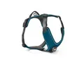 Wolters Active Pro Comfort Hundegeschirr anthrazit / petrol M