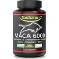 Tostoron MACA 6000 EXTRA STARK + HOCHDOSIERT - 120 Kapseln - 1 Dose (1x100g)