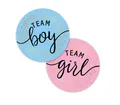 Gender Reveal Stickers für Partyeinladungen und Abstimmungsspiele, 120pcs Team Boy und Team Girl Labels mit Goldfolie für Reveal Partys und Baby Showers (Pink, Blau)