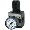 Druckregler multifix Manometer Baugröße 2 G1/2" 0,5-10bar