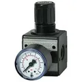 Riegler D-Regler multifix / G 1/2BG2 / 0,5-10 bar / Manohne (Dregler)