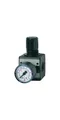 RIEGLER Druckregler MULTIFIX Gewinde mm 19,17 BG III G 1/2 ″ 0,5 - 10 bar 870...