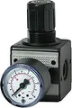 Riegler D Regler multifix / G 1/2 BG3 0 5 bis 10 bar Manometer