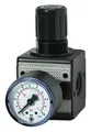 Riegler D-Regler multifix / G 1/2 BG3 / 0,5-10 bar / Manometer - 100425