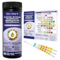 100 x One Step Urin Teststreifen für 10 Parameter I Mit Farbkarte für genaues hygienisches Ablesen I Keton, Glukose, Bilirubin, spez. Dichte, Blut, pH, Protein, Urobilinogen, Nitrit, Leukozyten