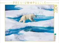 CALVENDO Puzzle Junger Eisbär springt von Eisscholle zu Eisscholle | 2000 Teile