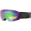 ALPINA Skibrille "Granby HM"