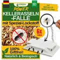 Green Guardia Kellerasseln Falle mit Spezial-Lockstoff – 6x Fallen – Kellerasseln bekämpfen, chemiefreies Mittel gegen Kellerasseln im Haus & ...