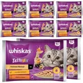 WHISKAS Tasty Mix Cremige Variationen Katzennassfutter Huhn Lamm Pute 32x85g