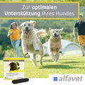 CaniGum Artrin Alfavet Ergänzungsfutter Hund Kautabletten Beweglichkeit 6 Stück