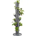 Gusta Garden Sissi Strawberry (27 cm) (101519)