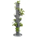 Gusta Garden Erdbeerbaum Sissi Strawberry Classic, ca. B32/H113/T27 cm, Dunkelgrau