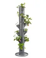 Gusta Garden Sissi Strawberry Erdbeerbaum Classic Anthrazit - Hochbeet System Erdbeeren mit Wandhalterung - Garten & Balkon - 113 cm - 15L Erdvolumen