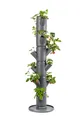 Gusta Garden 101519 Sissi Strawberry Erdbeerturm classic anthrazit (6 Etagen) (E